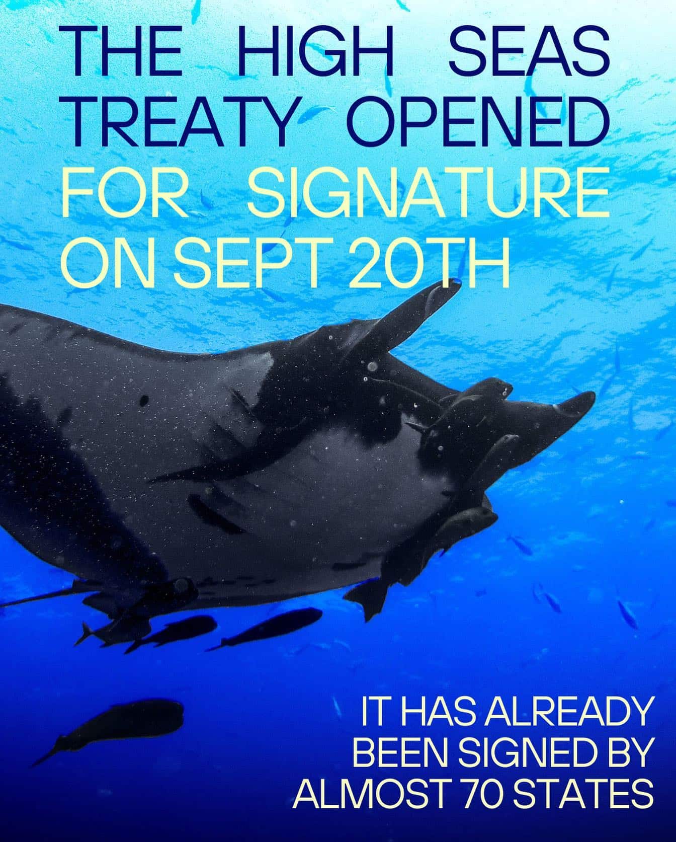 Not so fast! Though the treaty has been signed by almost 70 coutries, it requires 60 RATIFICATIONS to bring it in to force. A state signing the treaty indicates its intent to ratify the treaty later, but it does not compel them to do so. The ratification process can take longer as countries must review and potentially change their national laws to make it compatible with the treaty.
The UN fish stocks agreement required 30 ratifications and took 6 years to enter into force, and the UN Convention on the Law of the Sea required 60 ratifications and took 12 years to come in to force. With global focus on multilateral cooperation, we sincerely hope that the BBNJ agreement can enter in to force much sooner. The countries that do not ratify the agreement will not be formally bound by it, but further down the line they may find themselves de facto bound by it under customary international law.
