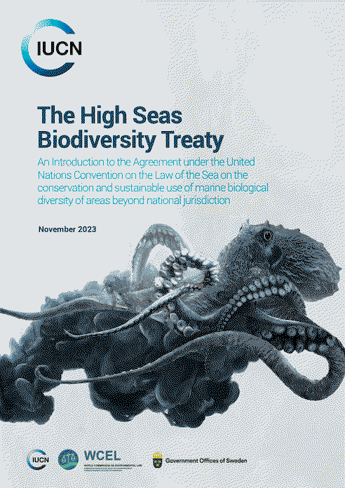 Cover of the High Seas Biodiversity Treaty Policy Brief