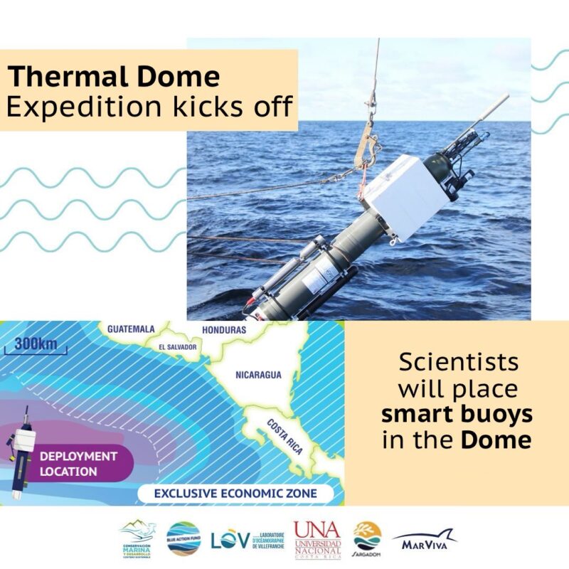 Thermal Dome expedition kicks off. Scientists will place smart buoys in the Dome