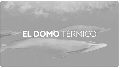 Preview of the animated video